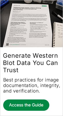 Generate Western Blot Data You Can Trust