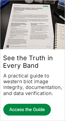 See the Truth in Every Band