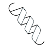 Icon representing anti-peptide antibody generation for challenging peptide targets such as GLP-1.