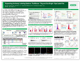 Expanding Antibody Labeling Options: TrailBlazer Tag and StarBright Dye Label Kits