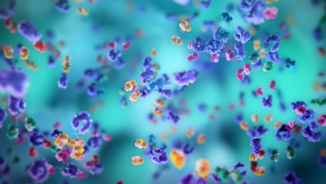 Illustration representing selection of antibodies that recognise multiple related antigens across species.