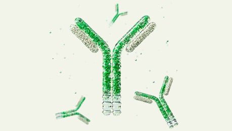 Custom Antibody Project Inquiry Form