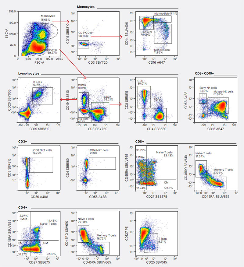 Fig. 4. Immunophenotyping data from PBMCs stained for 1 hr. 