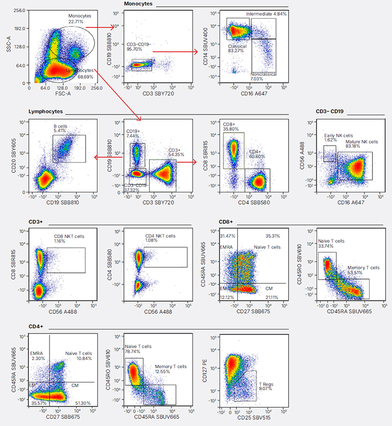 Fig. 5. Immunophenotyping data from PBMCs stained for 24 hr. 