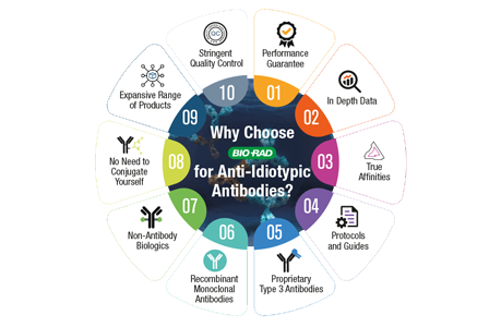 Why Choose Bio-Rad Anti-Idiotypic Antibodies