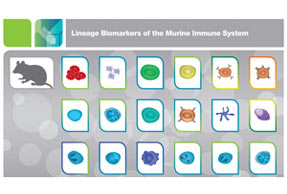 Lineage Biomarkers of Marine Immune System Guide