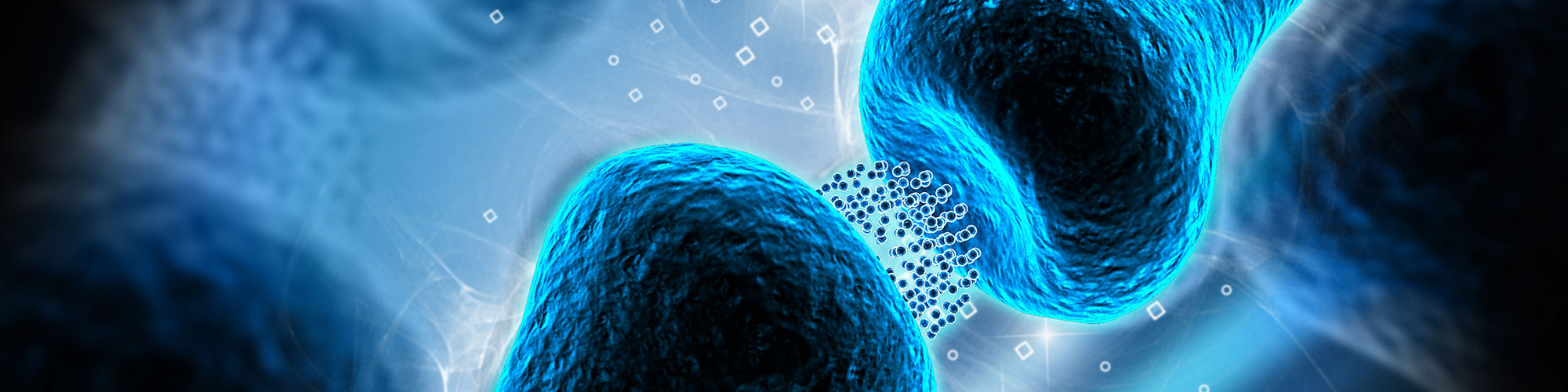 The Biochemical Basis of Depression