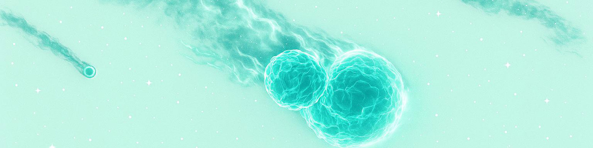 How to Identify Major Immune Cell Types by Their CD Marker Expression