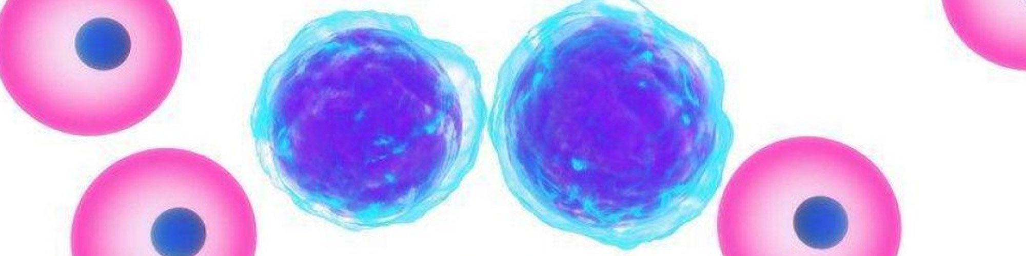 Cell Death by Apoptosis—The Journey of a Single Cell from Health to Death 