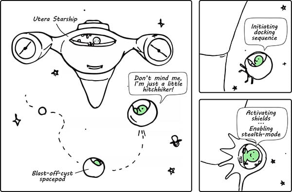 The Utera Starship cartoon