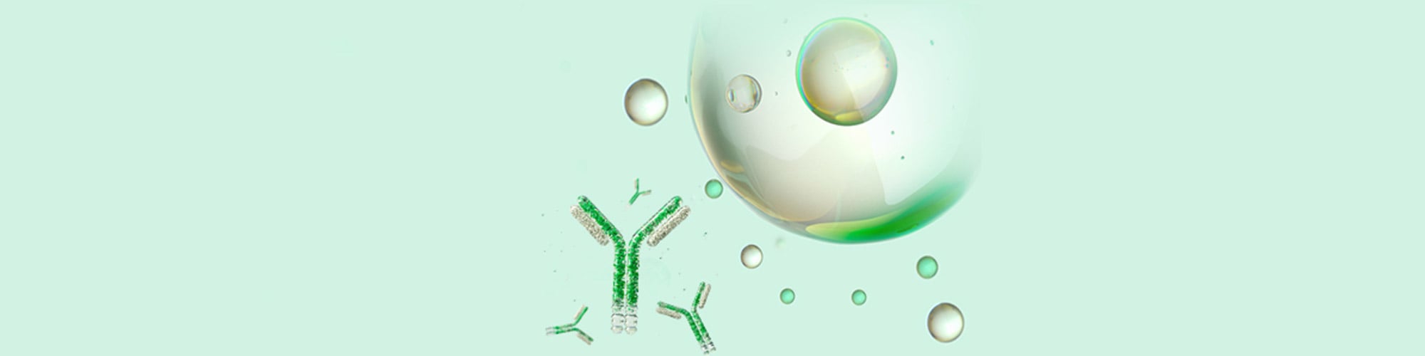 6 Steps for Success with Multicolor Flow Cytometry