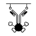 Immunoprecipitation