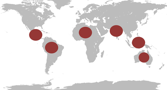 Countries affected by Dengue Virus