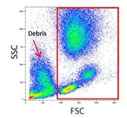 flow cytometry gating for debris exclusion