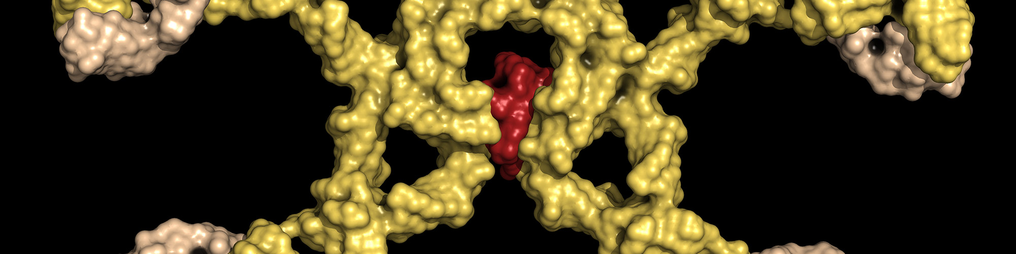The Past, the Present, and the Future of Immunoglobulin M