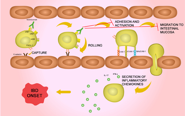 vedolizumab mechanism