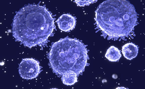 Gamma Delta T cells: The Unsung Heroes of Immunology  