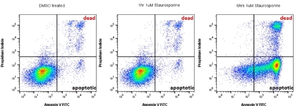 Annexin V Assay Kit - 300 Tests | Bio-Rad