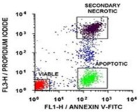 Fig.1. Dot-plot showing Ramos Cells staining with Annexin V-FITC versus Propidium lodide.