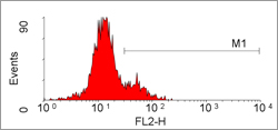 Flow cytometric detection of granzyme B in peripheral blood lymphocytes with PE conjugated mouse anti human granzyme B following permeabilization with Leucoperm (BUF09).