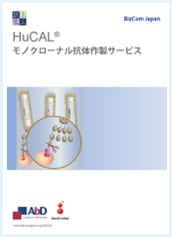 Download the HuCAL Custom Monoclonal Antibodies Brochure